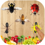icon AntSmasher2D