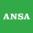 icon ANSA 1.0.5