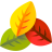 icon Leaf Video Editor 1.27