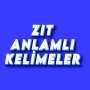 icon Antonyms Game for itel PowerPro P41