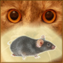 icon Mouse on screen for cat