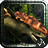 icon Dinosaur Safari 20.9.1
