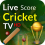 icon Live Cricket Score Line