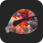 icon WoodenFishKnocker 1.4.14