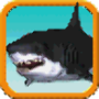 icon Shark Trainer