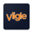 icon Viigle 6.67
