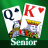 icon Solitaire 1.2.5