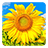 icon Golden Sunflower Live Wallpaper 3.1