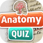 icon Anatomy Trivia Quiz