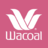 icon WACOAL Body Diary+ 1.2.44