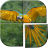 icon Bird Picture Puzzle Games 1.7
