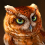 icon The Owl